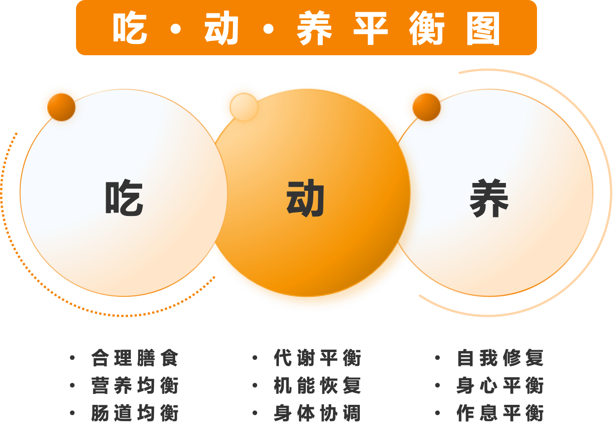 吃·动·养平衡理念